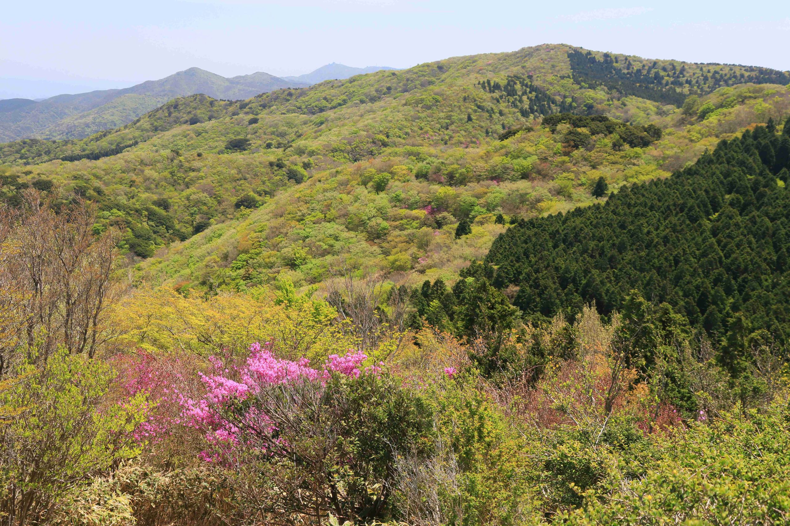 保護中: 4月23日ロングトレイル三瀬峠～羽金山